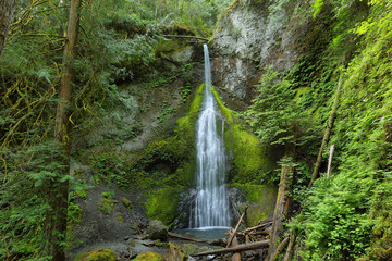 Fototapeta premium Marymere Falls, Olympic National Park