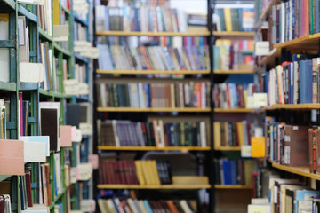 Books on bookshelves in library