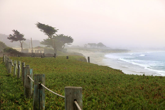 Foggy morning in California