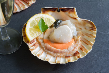 Raw scallops with lemon seafood closeup concept
