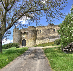 Fototapeta na wymiar Zufahrt zum Chateau de Montmorin, Vulkanauvergne