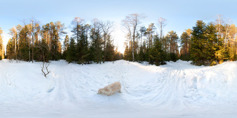 Full 360 degree equirectangula panorama with dog in winter fores