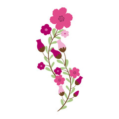 Beautiful flowers ornament icon vector illustration graphic design