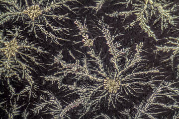 cleaning agent micrography