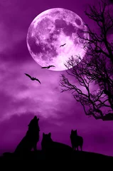 Plaid mouton avec motif Loup Les loups et la lune comme un concept de meute de loups magiques