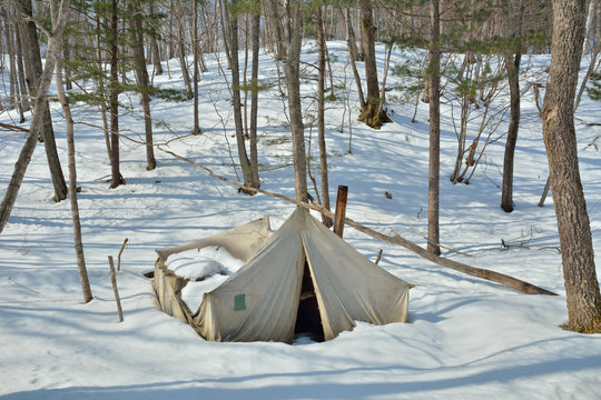 Tent in winter forest 4