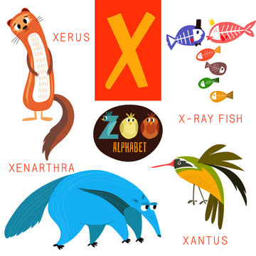 Cute zoo alphabet in vector.X letter.