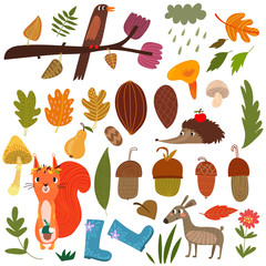 Autumn set with cartoon forest animals and autumn elements.