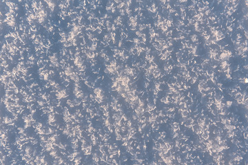 snow flakes texture
