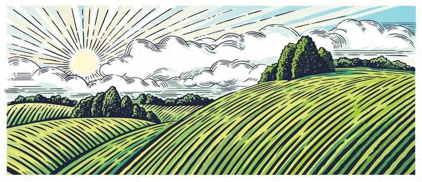 Rural landscape with hills and medows, in the graphic style, illustration is hand-drawn. 