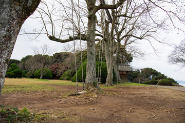 swing for kids on Nokonoshima Island