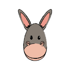 Donkey animal cartoon icon vector illustration graphic design