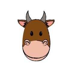 Cow animal cartoon icon vector illustration graphic design
