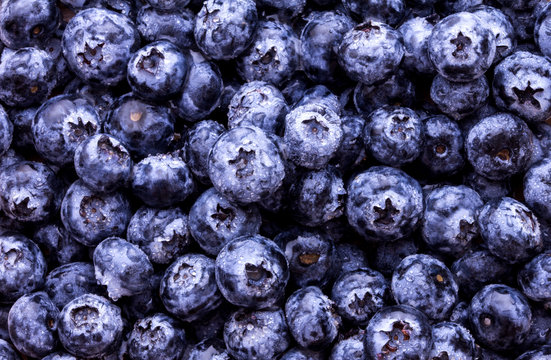 closeup fresh picked blueberries 