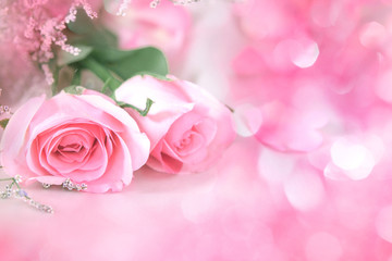 Fototapeta premium soft sweet rose flowers for love romance background
