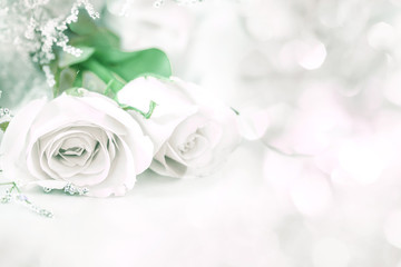 Plakat soft sweet rose flowers for love romance background