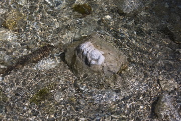 klares,kaltes Wasser