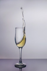 Splash in a glass of champagne
