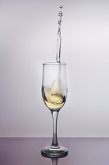 Splash in a glass of champagne