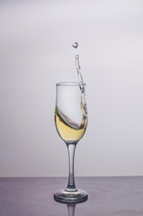 Splash in a glass of champagne