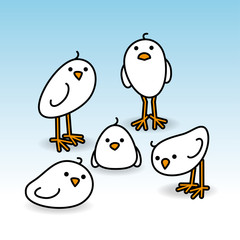 Five Staring White Chicks