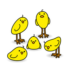Five Staring Yellow Chicks