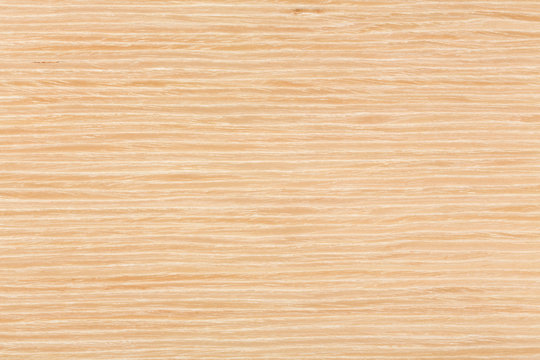 Oak wood veneer, natural background. Macro shot.