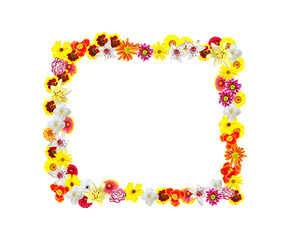 Colorful bright flowers isolated on white background