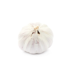 Single bulb of garlic isolated