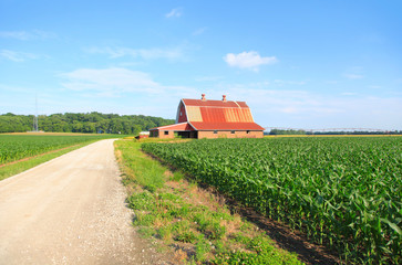 Fototapeta premium Farm landscape