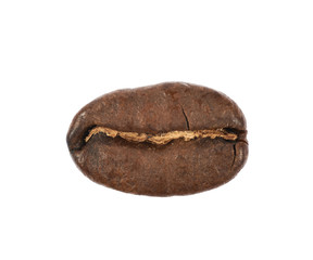 Single coffee bean isolated