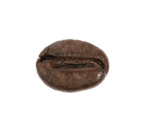 Obraz premium Single coffee bean isolated