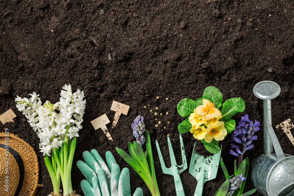 Wall mural spring garden works. gardening tools and flowers on soil.