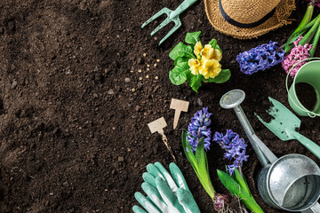Spring garden works. Gardening tools and flowers on soil.
