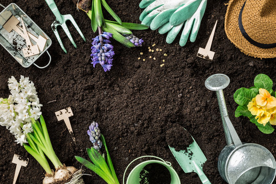 Spring garden works. Gardening tools and flowers on soil.