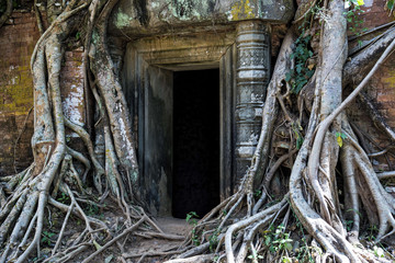 Prasat Pram sanctuary entrance in Koh Ker site, Cambodia. Koh Ker is an archaeological site with more than 180 sanctuaries, most of them covered by roots, in protected area of 81 square kilometres