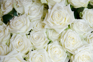 Obraz premium White roses in a wedding bouquet
