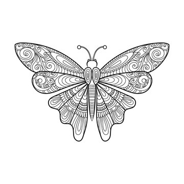 vector decorative butterfly coloring page