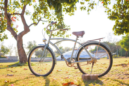 A vintage bicycle in a beautiful park during sunset time