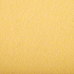 Texture of a lasagna pasta sheet