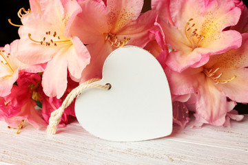 Frühlingsblüten mit weißem Herz