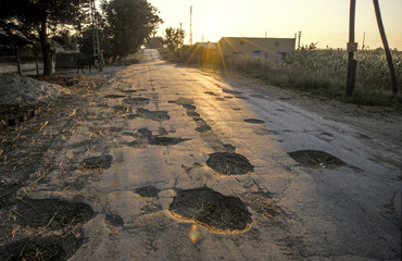 Rough road, Romania, Danube Delta, Plopu