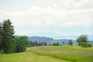 Hills covered with green grass under blue sky