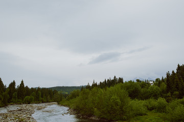 Fototapeta na wymiar mountain river in summer