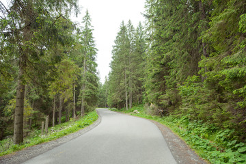 Fototapeta na wymiar country road at the mountain