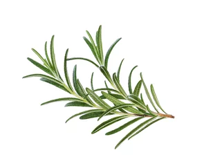 Foto op Aluminium Rosemary isolated on white background, Top view. © Superheang168