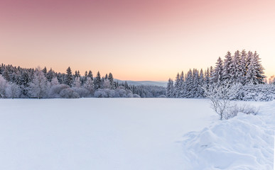 Sunny winter landscape in the mountains