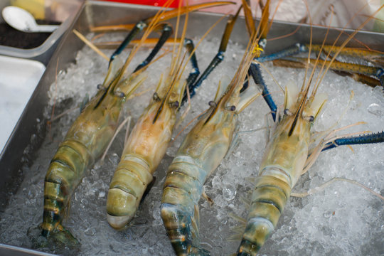 big prawns on crushed ice