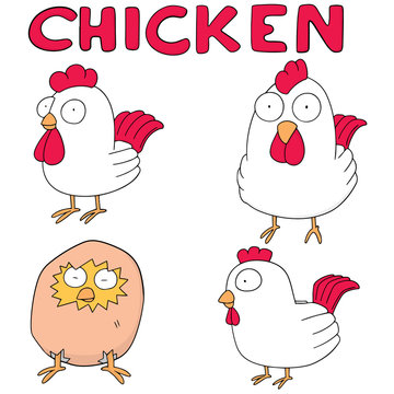 vector set of chicken
