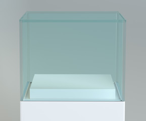 Empty glass showcase for exhibit